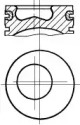 WILMINK GROUP wg1175533 -  Поршень
